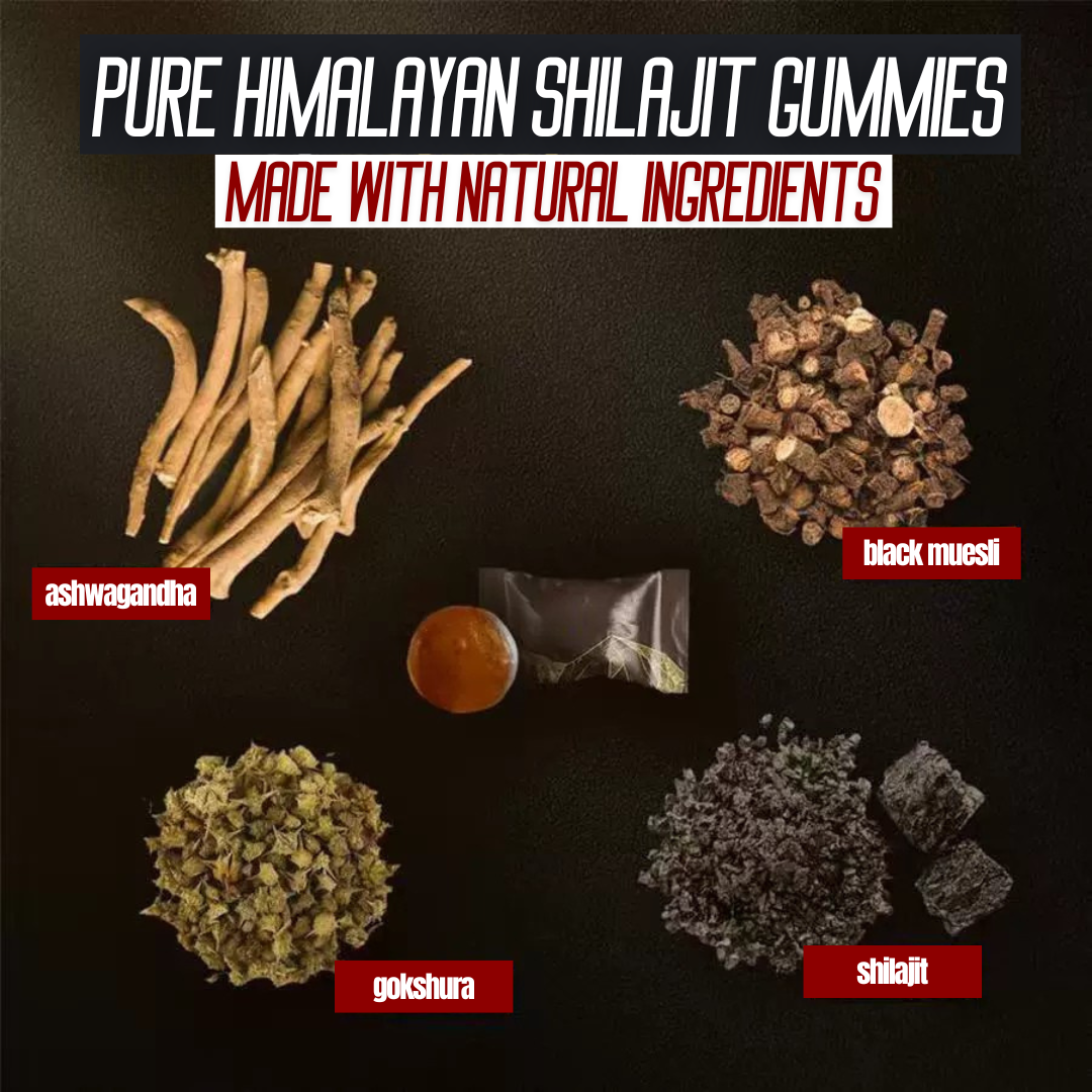 SYNTRA SHILAJIT ™ Pure Shilajit Gummies